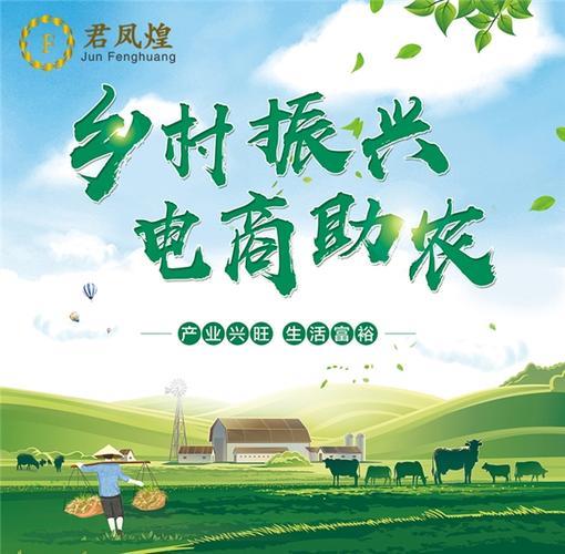进入电商平台832采购：助力乡村振兴，共创美好未来